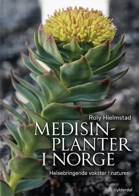 Medisinplanter i Norge – helsebringende vekster i naturen