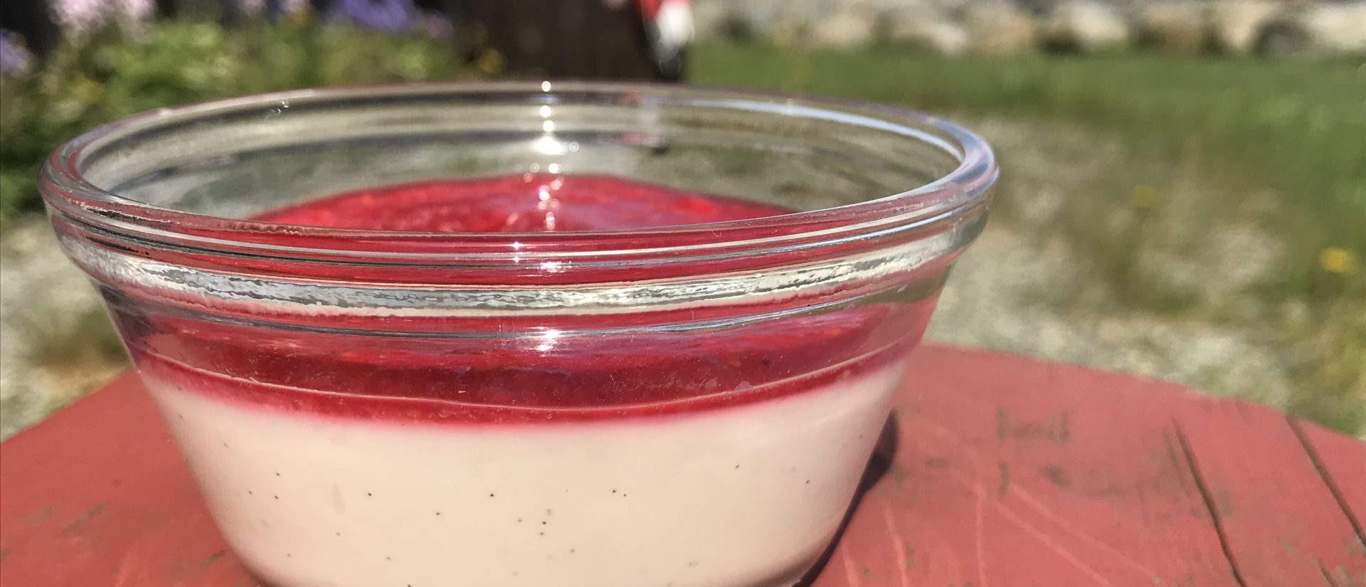 Mandelmelk panna cotta