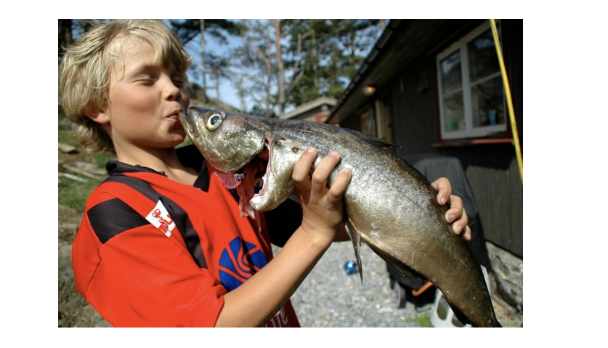 Barnevennlig fisk til helgen