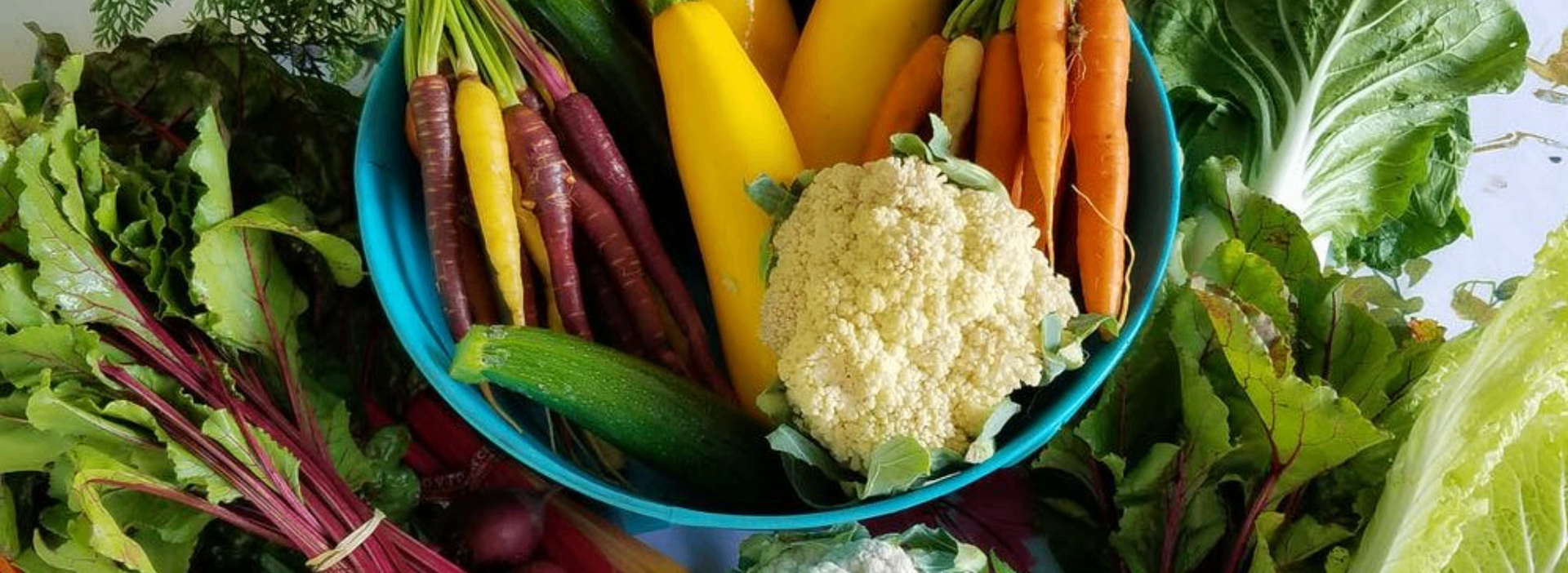 Har du fått nok fiber i dag?