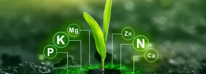 Fulvinsyre – naturens mineraltilskudd