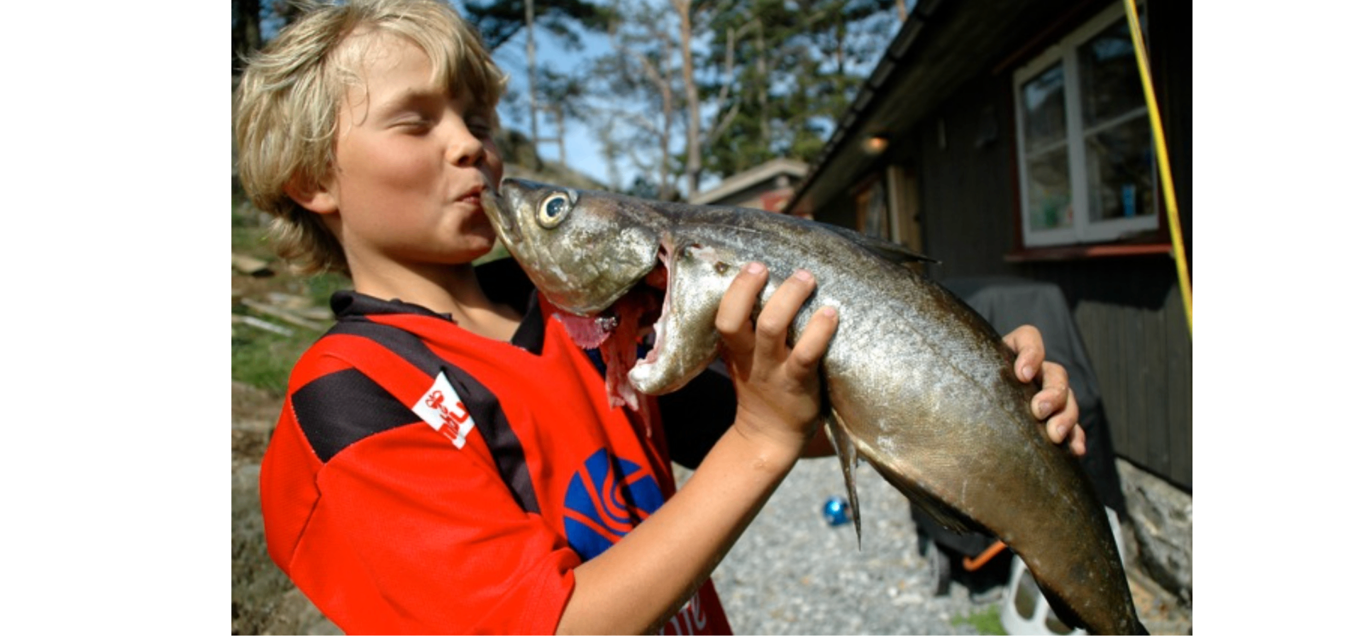 Kostråd med mål og mening
