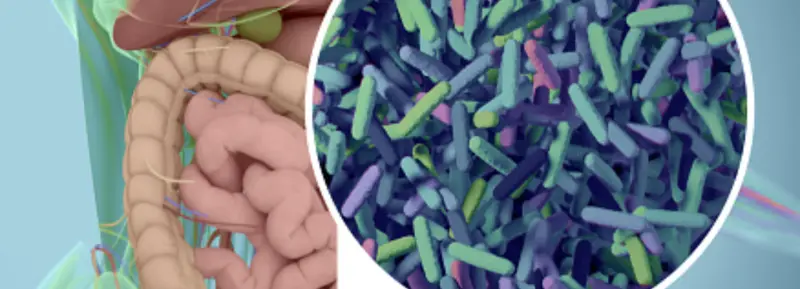 Long-covid og tarmhelse – fiks tarmen