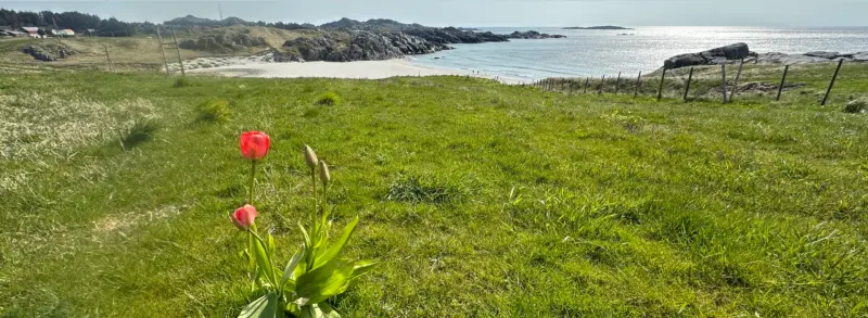 Mennesker og natur vil alltid være uatskillelige