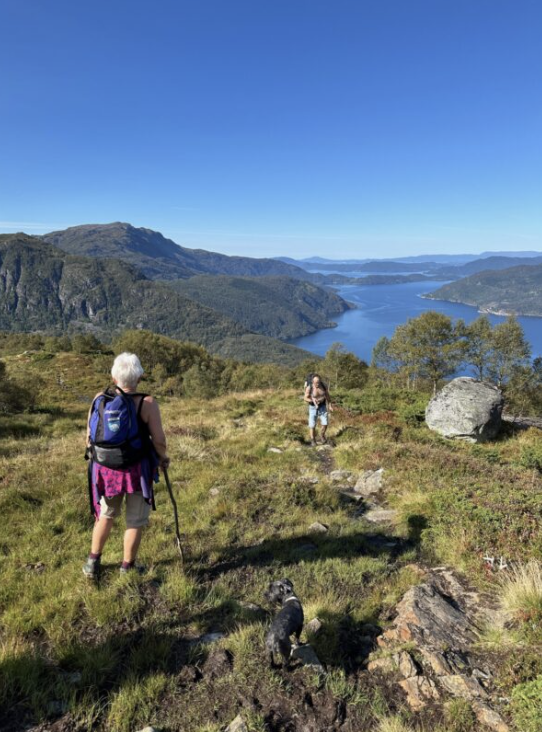 Tur med hund i fjellet