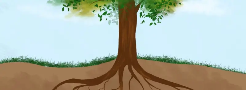 Tarm- hjerte – aksen