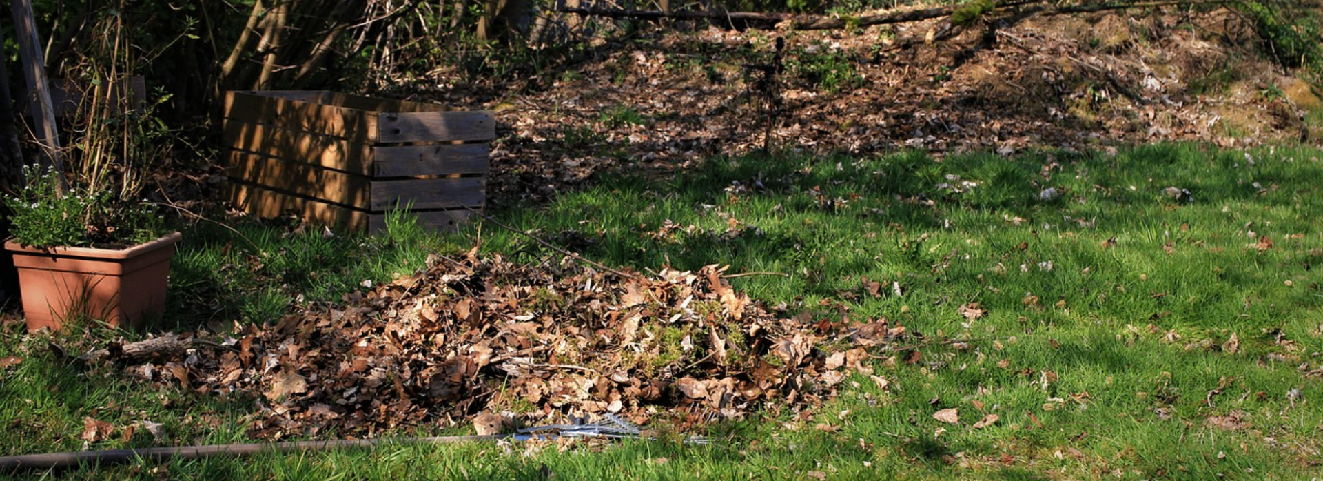 Faste – en vårrengjøring skader ikke