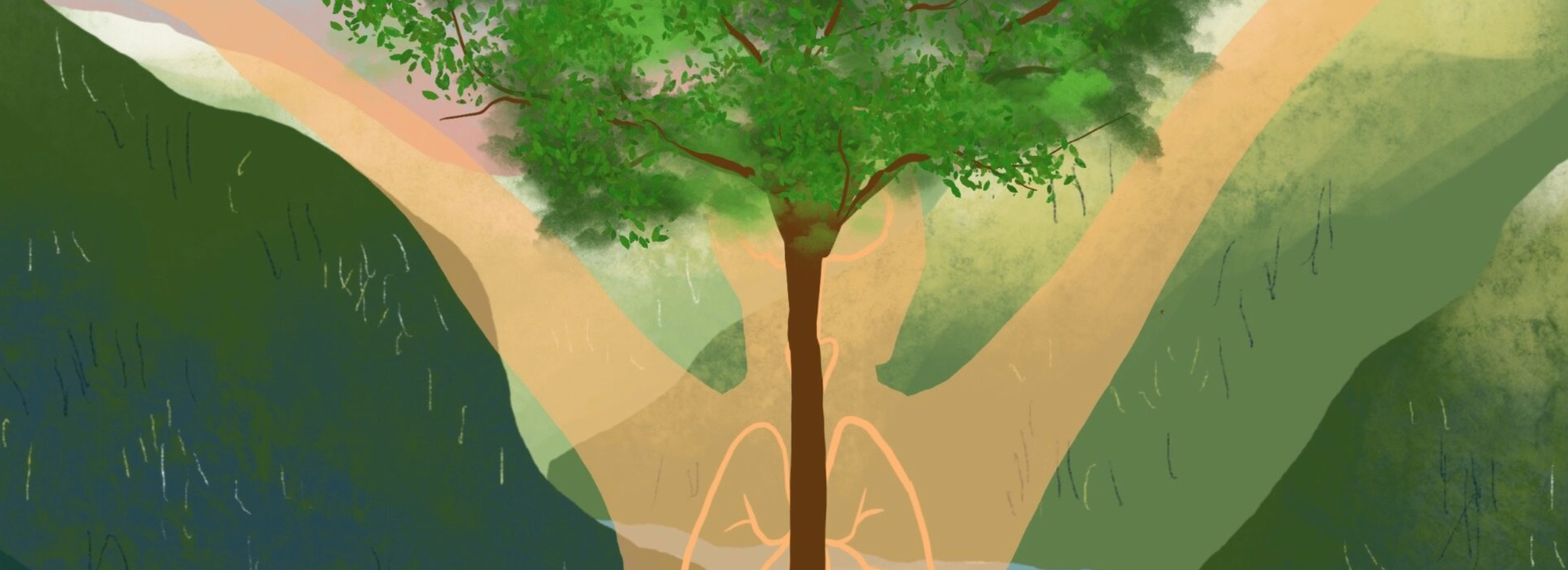 Vagusnerven – vårt indre tre med røtter i mikrobiomet