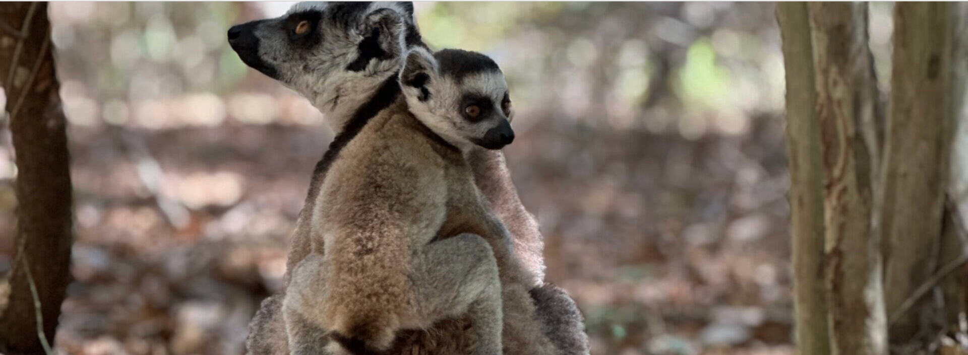 FHI pusher ny vannkoppvaksine på alle barn – men hvem tjener på det?