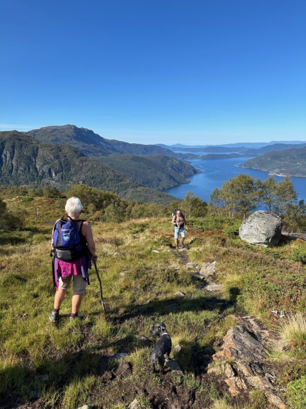 Sydney på fjelltur